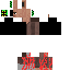 Texture for Willager