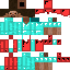 Texture for steve