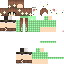 Texture for Springinkerl