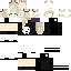 Texture for Testskin
