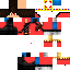 Texture for wislley12
