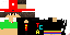 Texture for LYNVICTOR