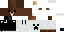 Texture for bear