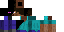 Texture for endersteve