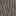 Texture for  adasd