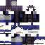 Texture for Raven-2