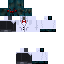 Texture for Spider