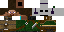 Texture for Robo Link