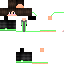 Texture for dino