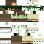 Texture for Green Piratie