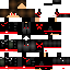 Texture for ds