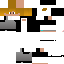 Texture for igor.1