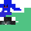 Texture for sonic exe fly
