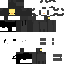 Texture for duck pro