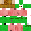 Texture for kermit