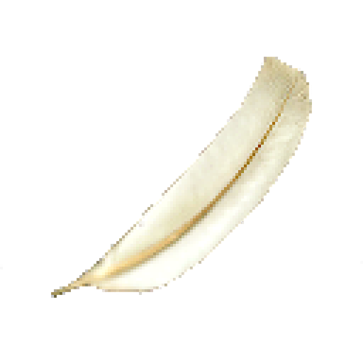 Texture for feather