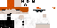 Texture for Syer
