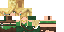 Texture for amazon