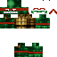 Texture for tortue ninja