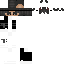 Texture for ds