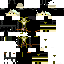 Texture for yashichi