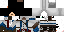 Texture for Asssin