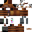 Texture for Diego Craft Constructor