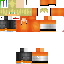 Texture for Orange