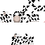 Texture for swiftarcticfox