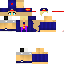 Texture for steve100cat