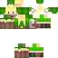 Texture for LINK