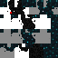 Texture for sculk visible