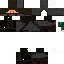 Texture for ninja