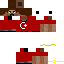 Texture for Steve