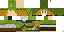 Texture for LInk