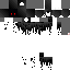 Texture for Enderpack