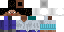 Texture for Steve II
