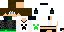 Texture for dsada