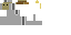 Texture for Dodo