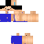 Texture for Maximilian