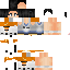Texture for chell