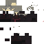 Texture for Stealth