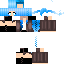 Texture for Shellie Lib