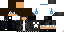 Texture for camper29