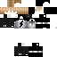 Texture for Swiift_Fr