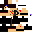 Texture for parrin cocos