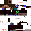 Texture for Steve