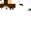 Texture for DexHead