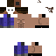 Texture for Steve