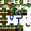 Texture for Link
